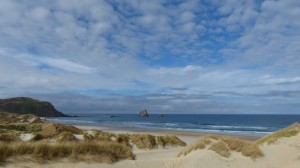 Otago peninsula beach